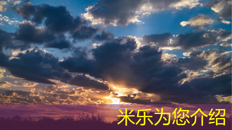 <strong>米乐：九江塑胶跑道费用价格</strong>