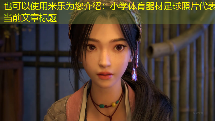 小学体育器材足球照片