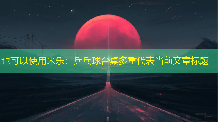 乒乓球台桌多重